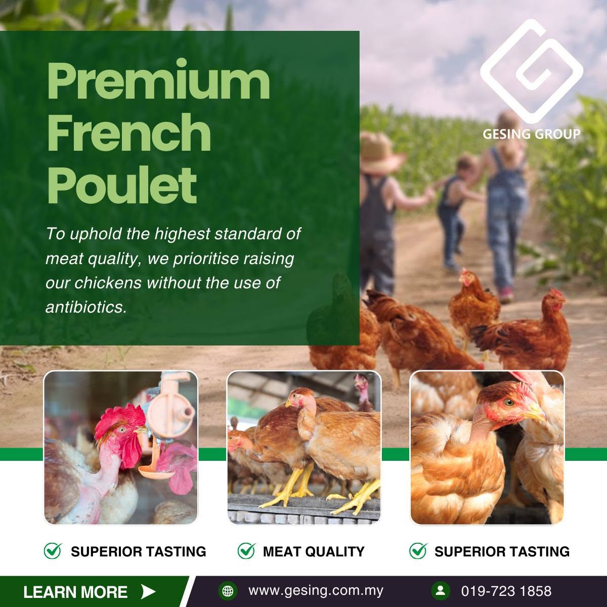 Premium French Poulet