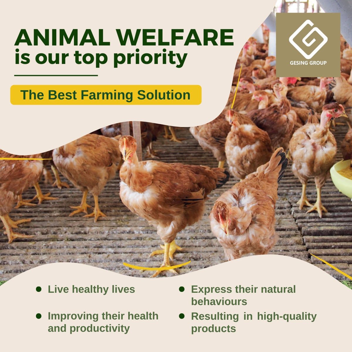 Animal welfare: our priority