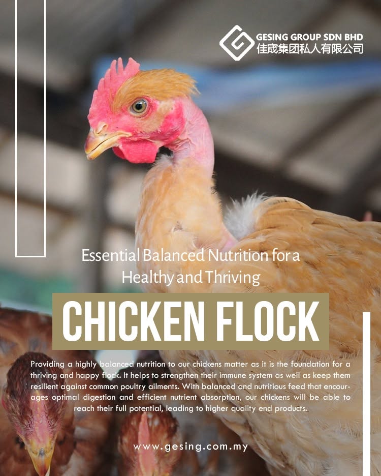 Nutrition for the flock