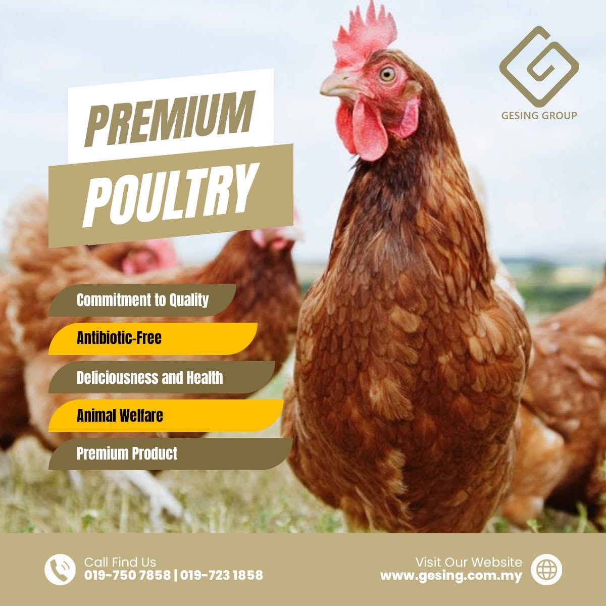 Premium poultry