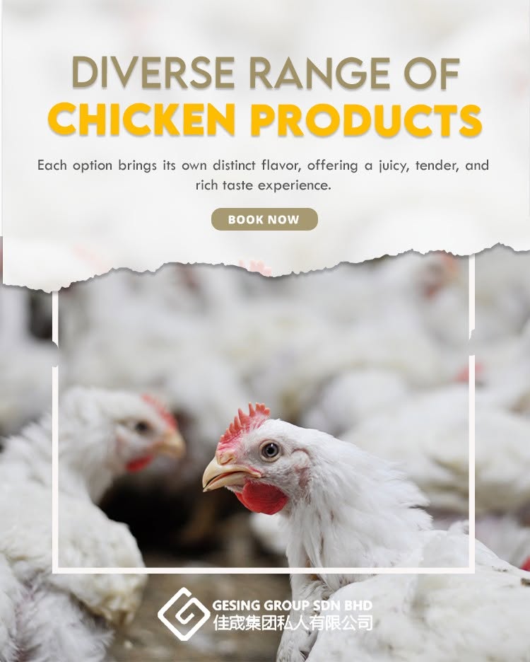 Our chicken range