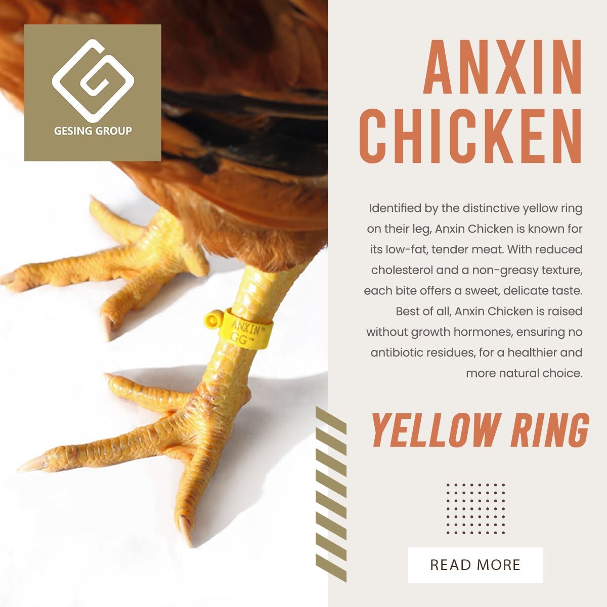 Anxin Chicken